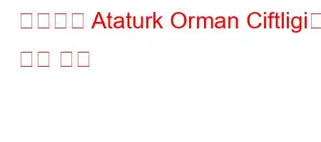 지하철로 Ataturk Orman Ciftligi에 가는 방법